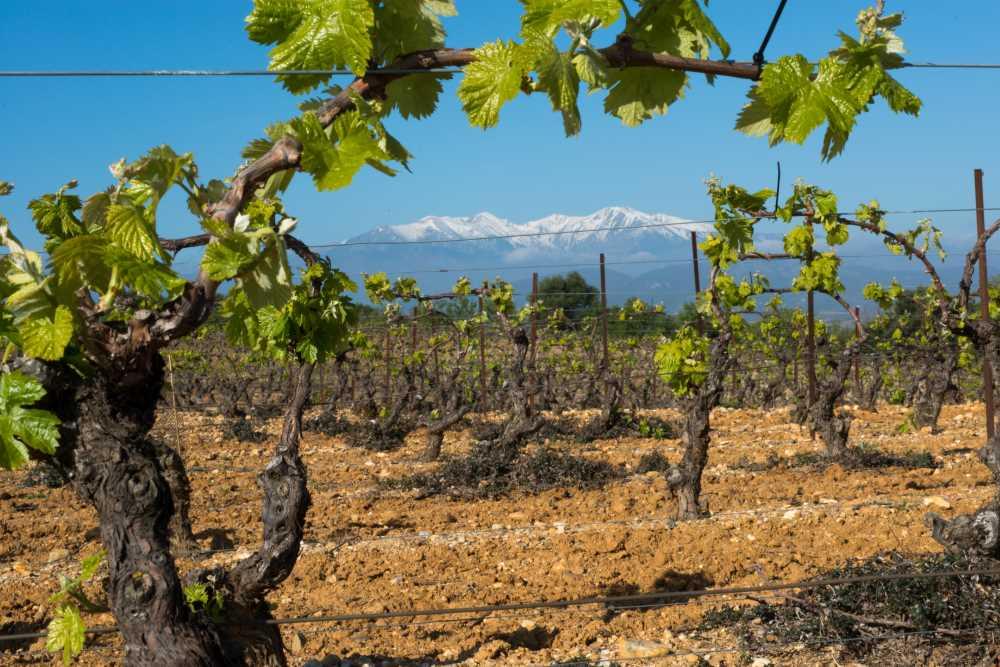 Domaine de la meunerie